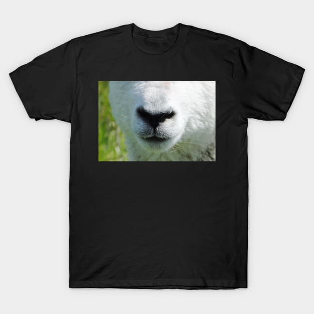 Lamb Snout 2 T-Shirt by AH64D